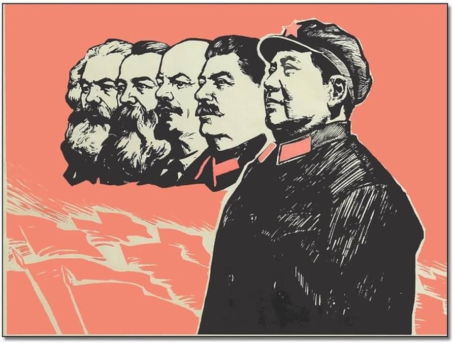 61nefAj38WL._AC_UF894,1000_QL80_