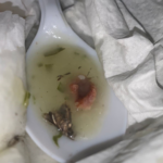Mosca morta e fragmentos de inseto identificados na colher com caldo verde do R.U da Universidade Federal de Alagoas (UFAL). Foto retirada do Dossiê feito pelos estudantes.