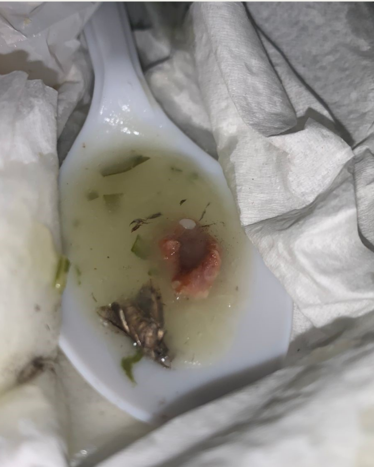 Mosca morta e fragmentos de inseto identificados na colher com caldo verde do R.U da Universidade Federal de Alagoas (UFAL). Foto retirada do Dossiê feito pelos estudantes.